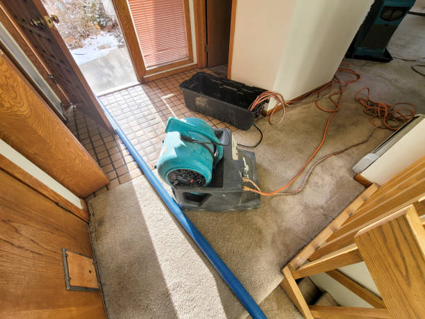 Best Basement water damage restoration  in Centennial Park, AZ