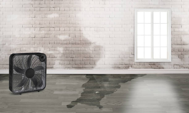 Best Water damage restoration near me  in Centennial Park, AZ