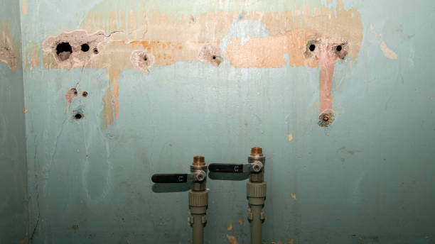 Best Flood restoration services  in Centennial Park, AZ