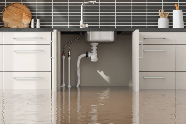 Best Water damage contractors near me  in Centennial Park, AZ