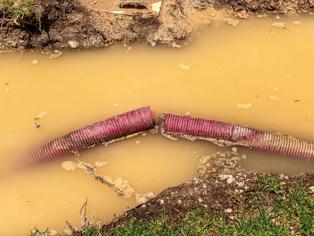 Best Flood restoration services  in Centennial Park, AZ