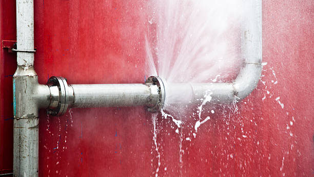 Best Flood damage cleanup  in Centennial Park, AZ